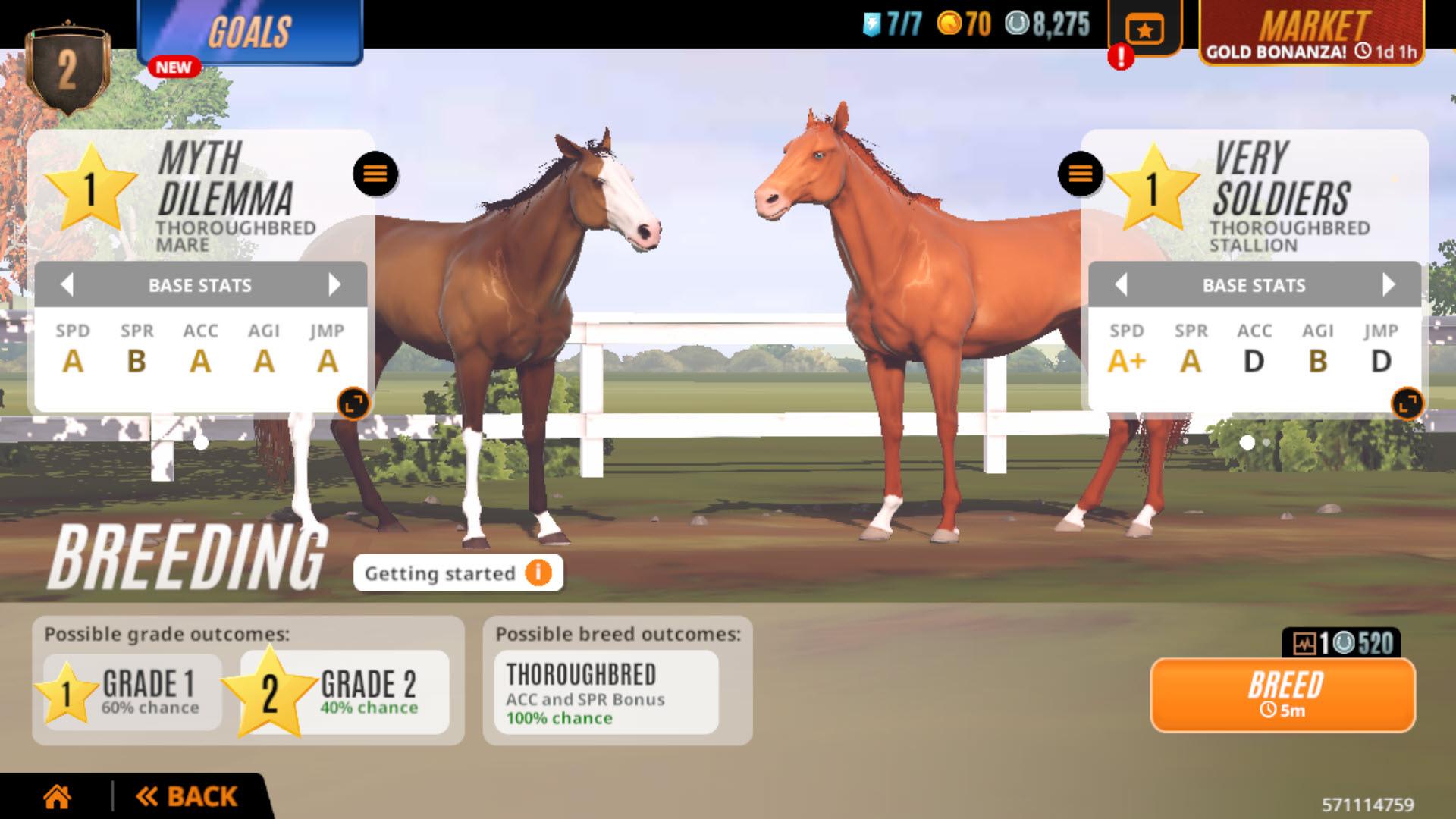 Selecting the Right Horses